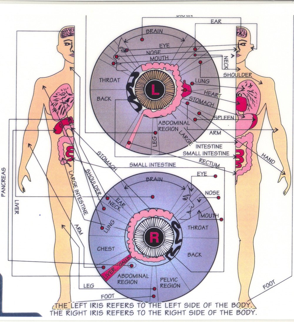 What is iridology chart