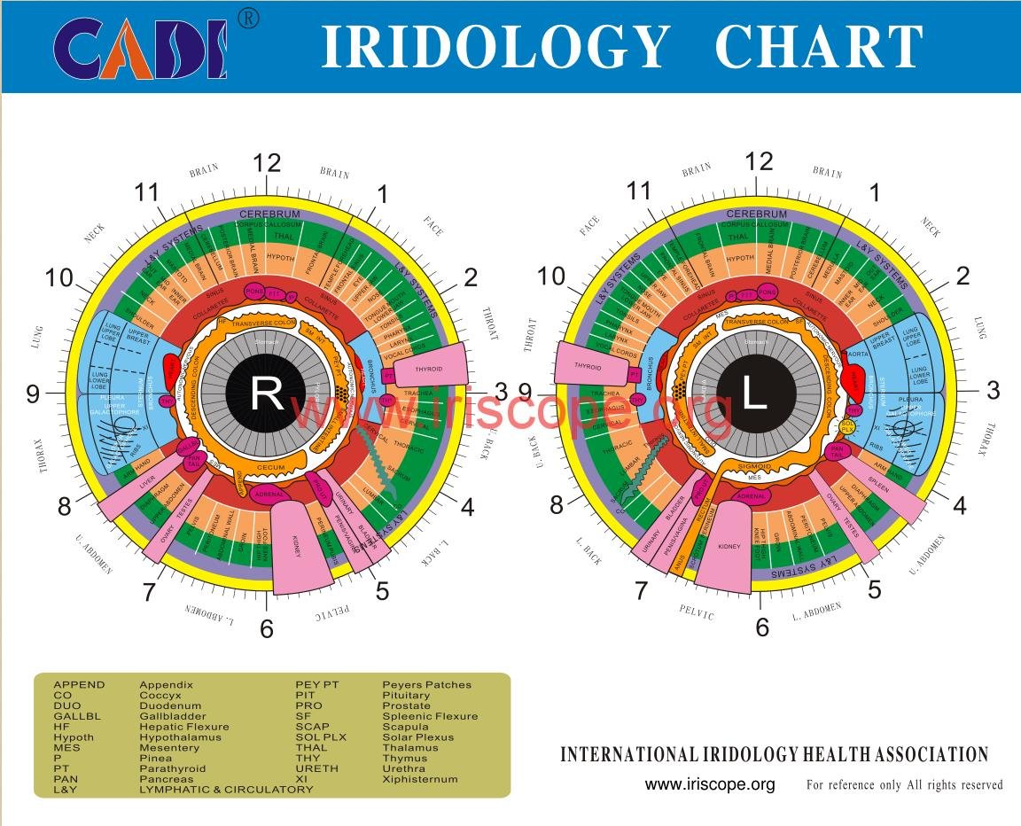 What is iridology chart