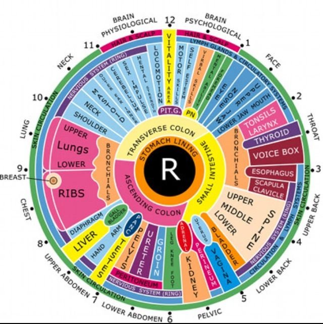 maikong iridology chart 2