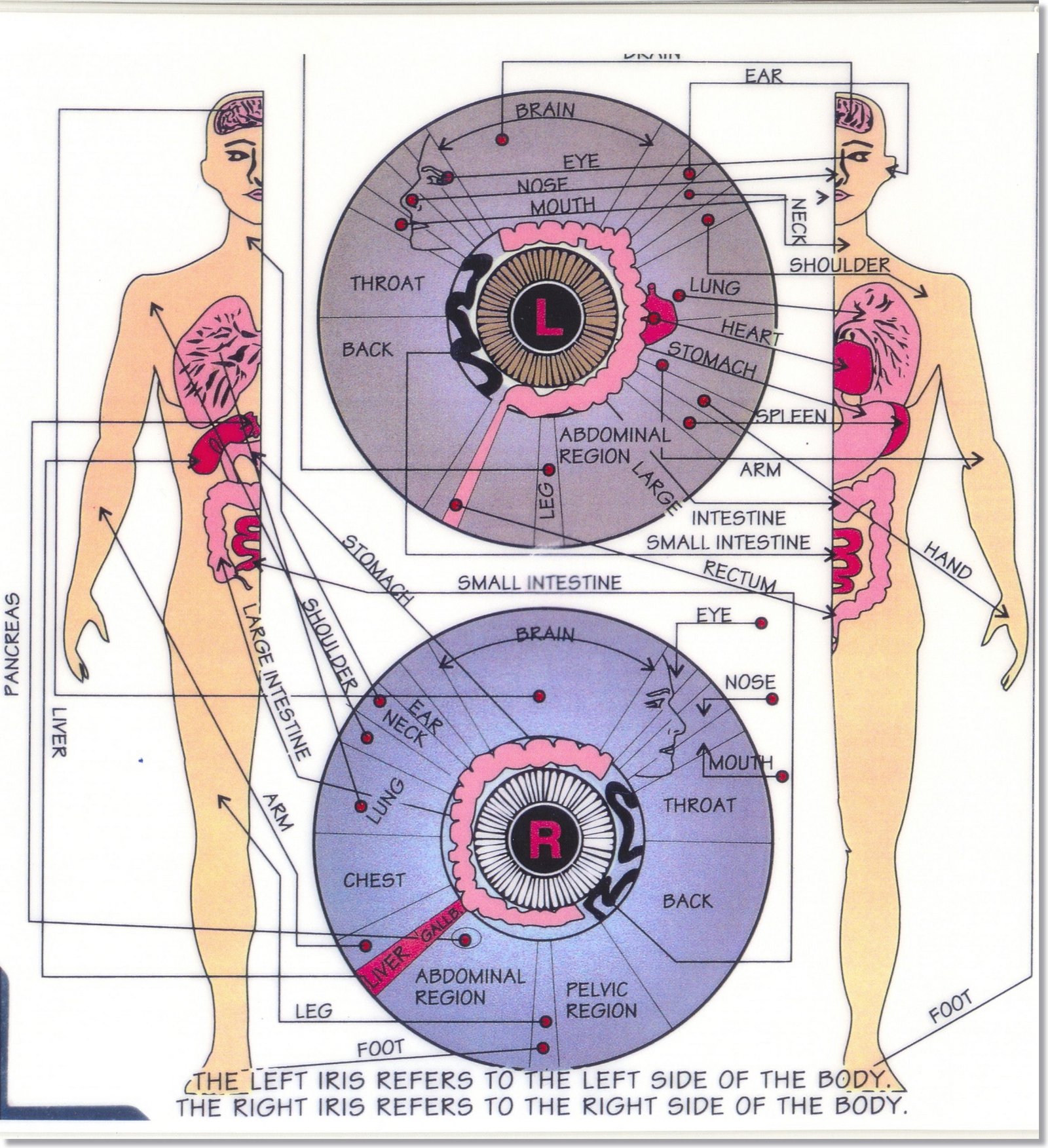 how to read your eyes