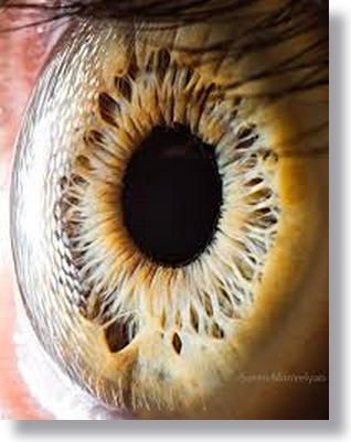 iridology how to change eye color