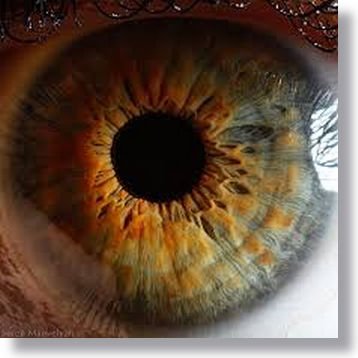 iridology how to change eye color